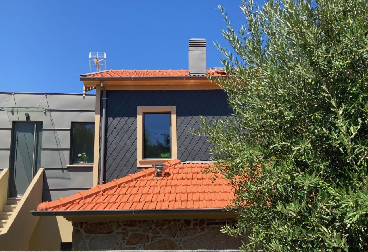 Casa Da Zefinha, Em Cinfaes, No Douro公寓 外观 照片